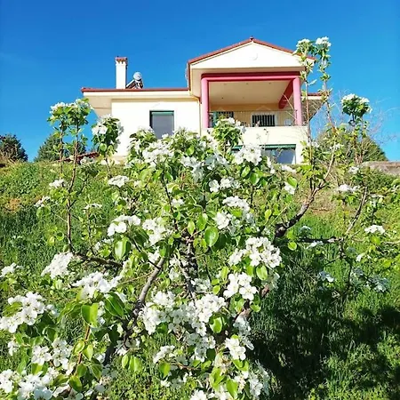 House With View * Lefkopigi